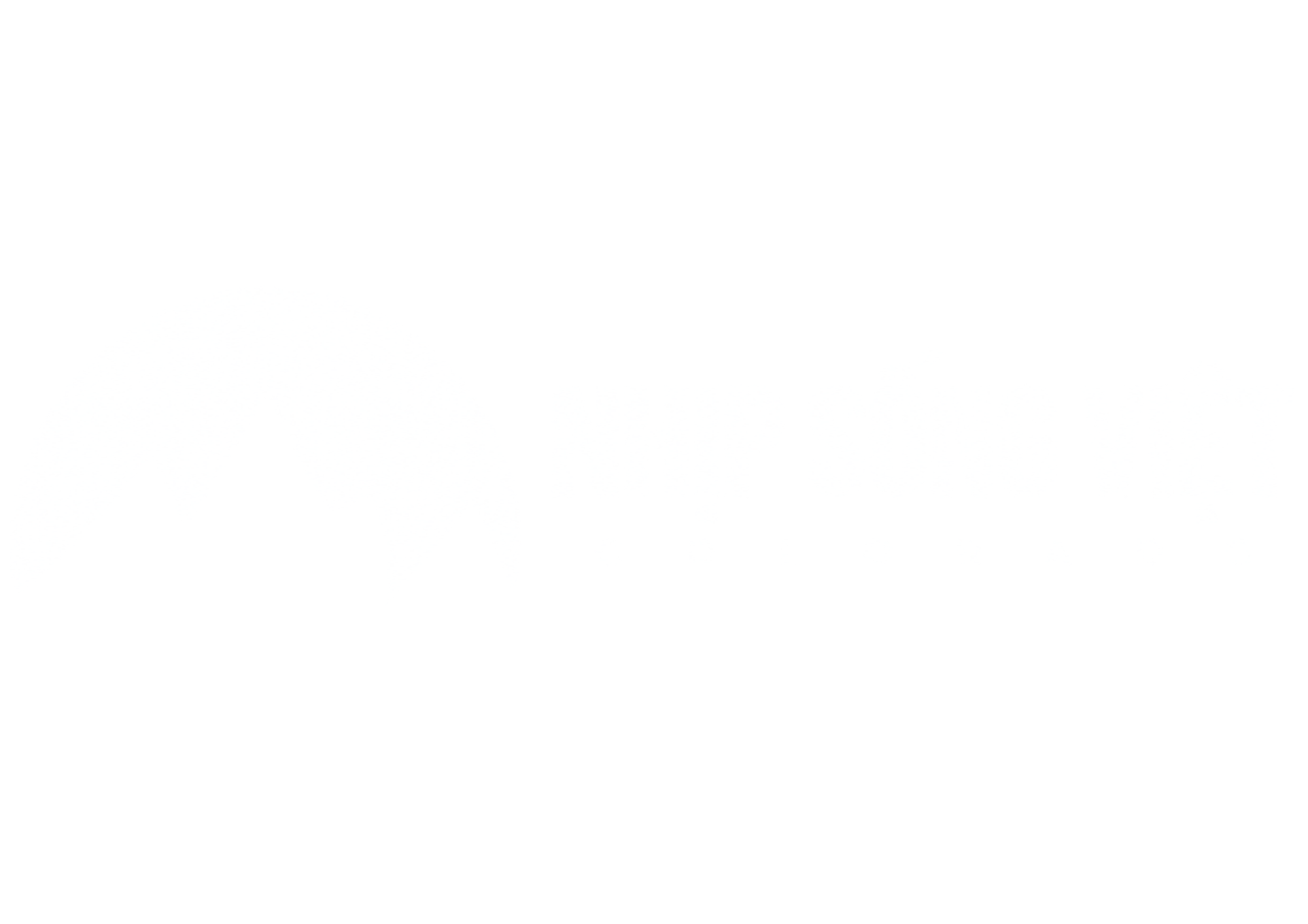 Organizer logo
