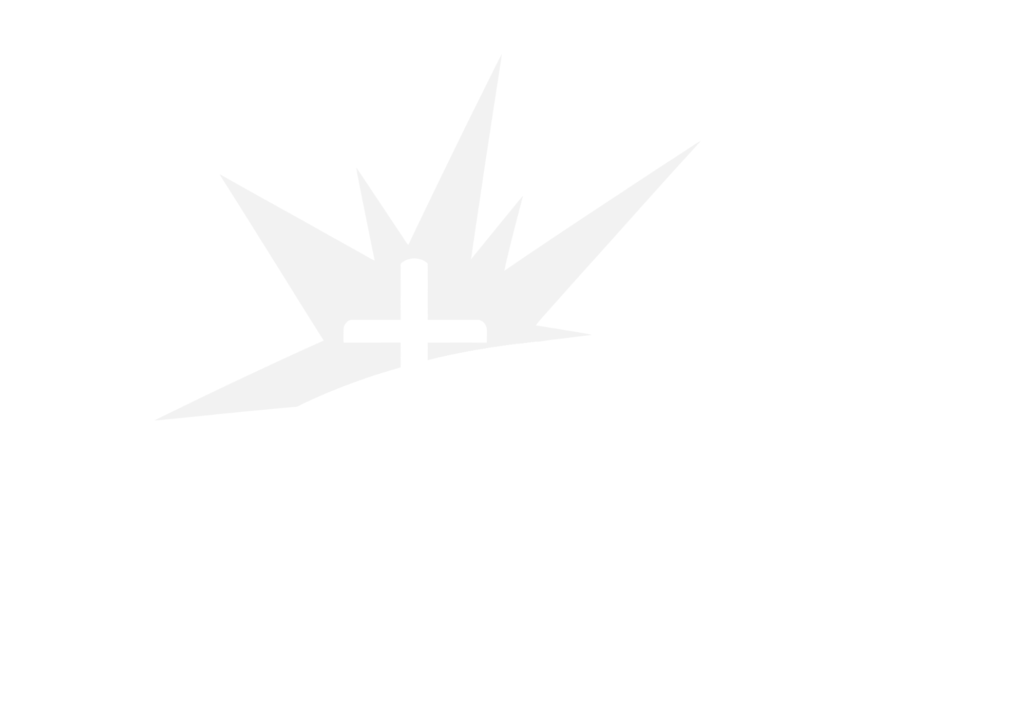 Organizer logo